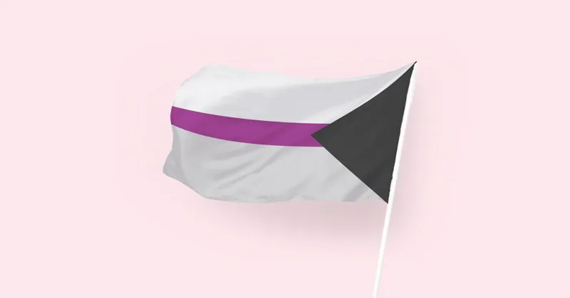 💜 Vad betyder den demisexuella flaggan?
