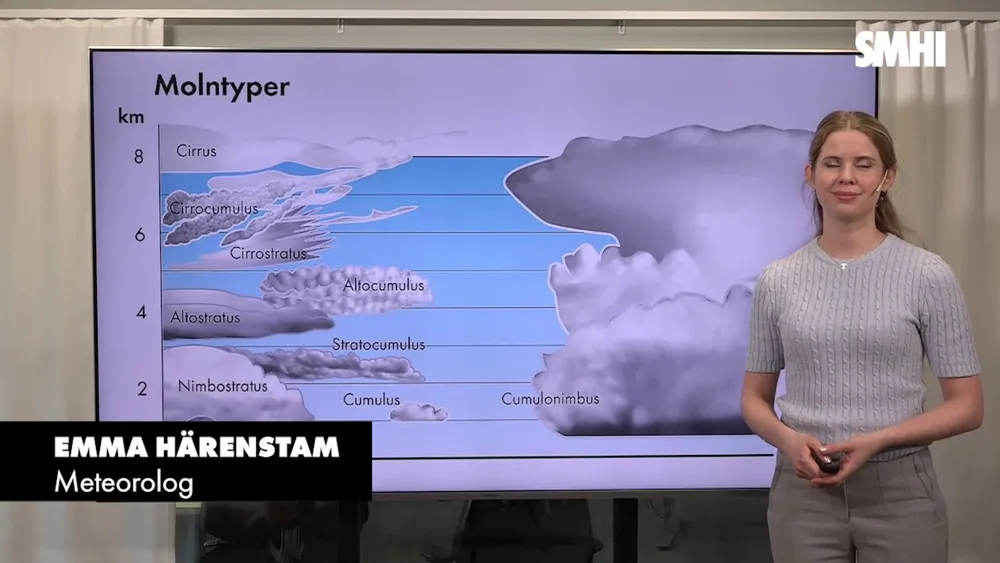 emma härenstam släkt med magnus