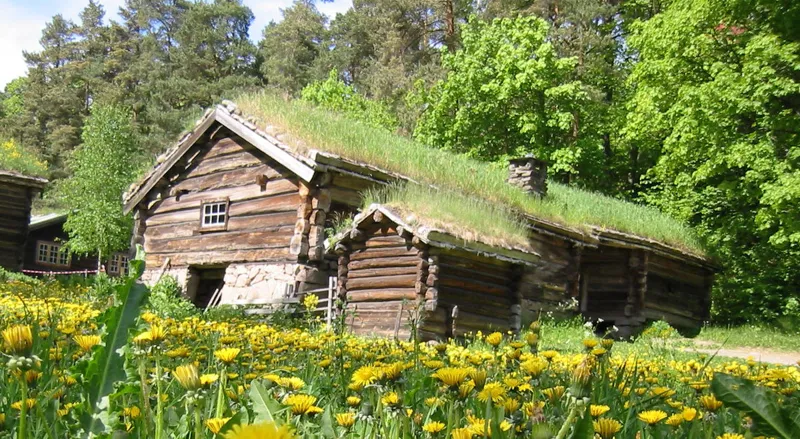 Grästak – ett naturligt val för både miljön och huset