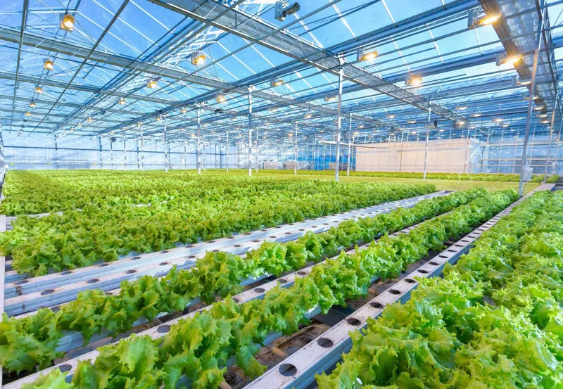 Visste du detta om grön teknik?