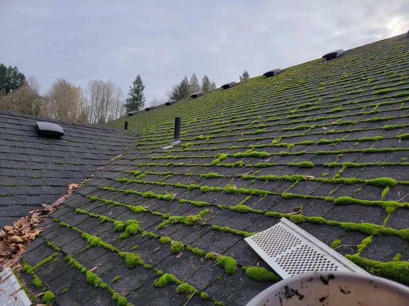 Tvätta papptak: Praktisk underhållsguide