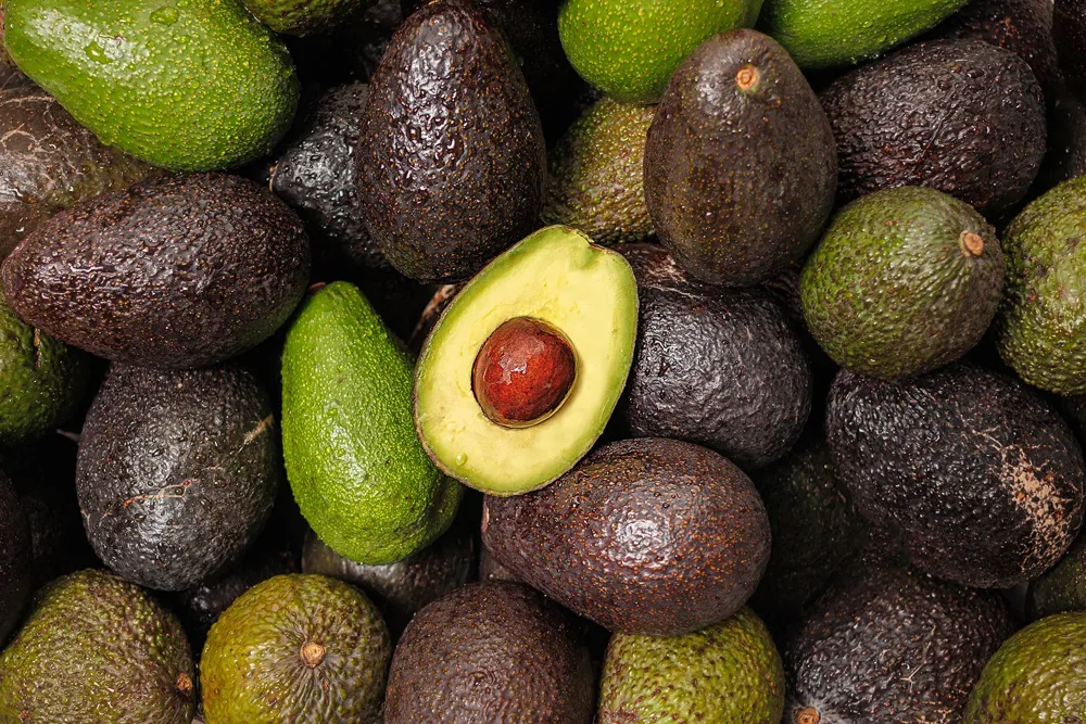 varför ska man inte äta avokado
